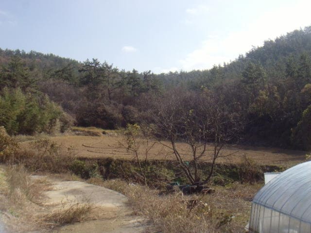 B000514202401300553372.jpg