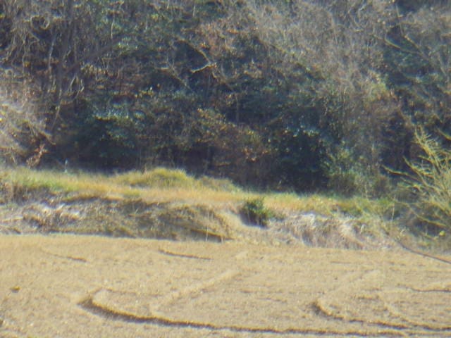 B000514202401300553373.jpg