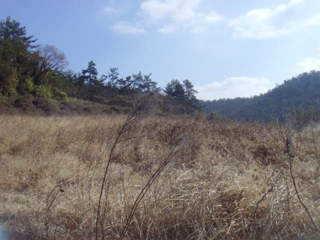 B000514202401300553371.jpg