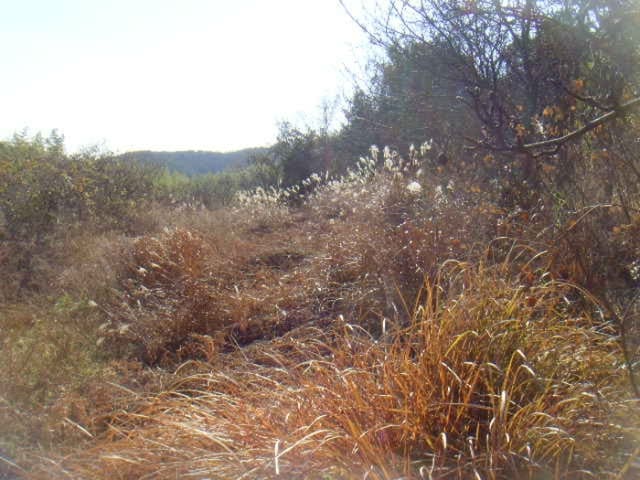 B000514202401300554811.jpg