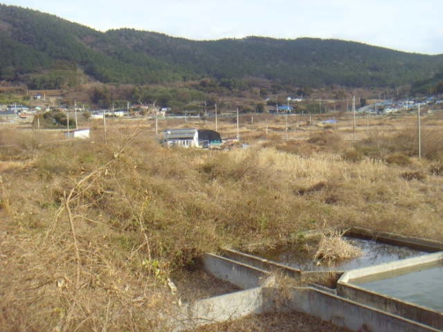 B000514202401300554814.jpg