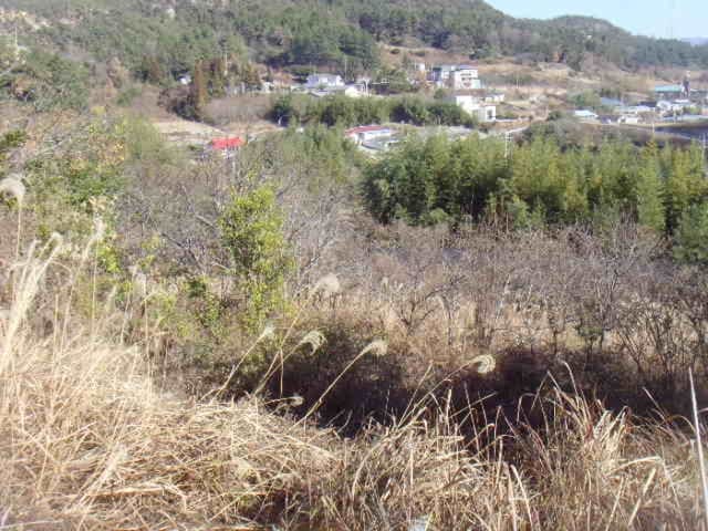 B000514202401300554812.jpg