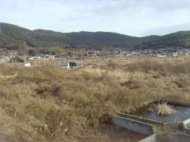 B000514202401300554813.jpg