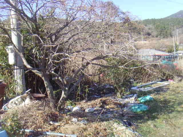 B000514202401300559172.jpg