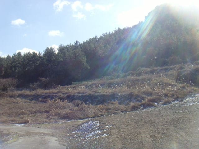 B000514202401300559173.jpg