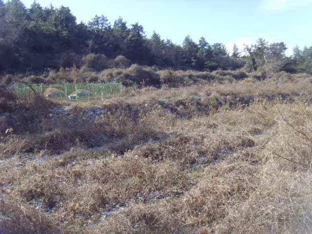 B000514202401300559174.jpg