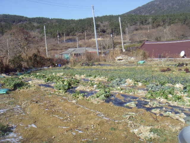 B000514202401300559171.jpg
