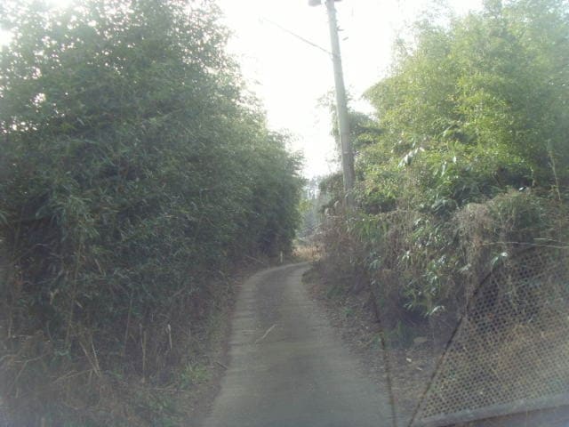 B000514202501300005183.jpg