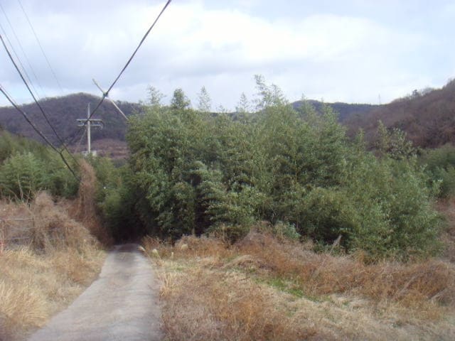 B000514202501300005182.jpg