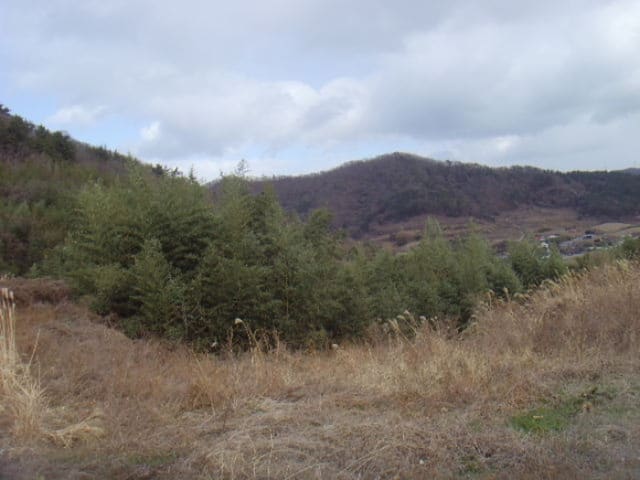 B000514202501300005184.jpg