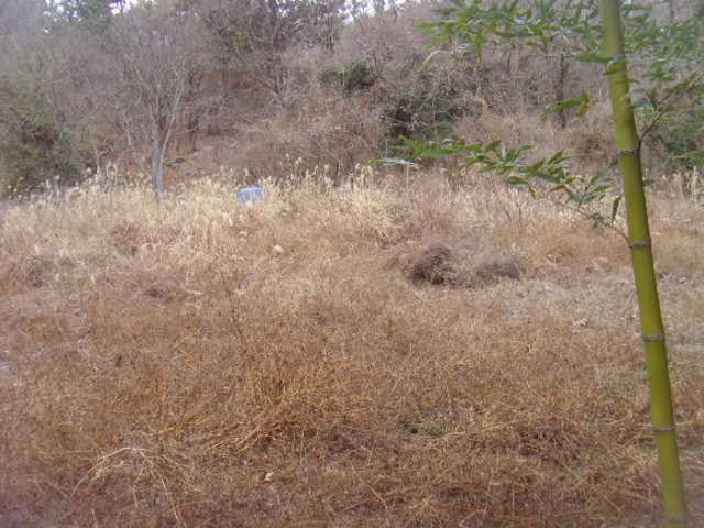B000514202501300005181.jpg