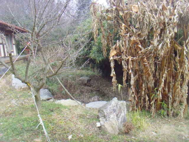 B000514202501300005561.jpg