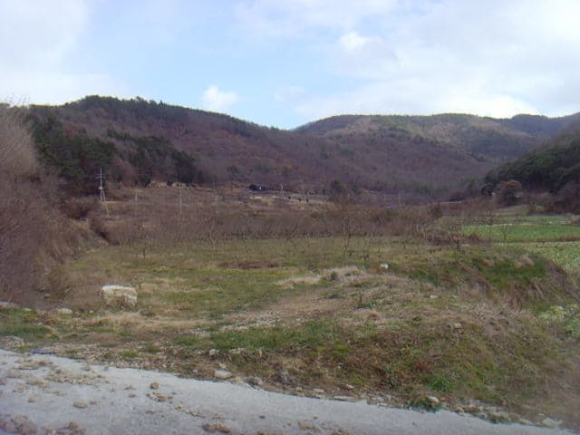 B000514202501300005564.jpg