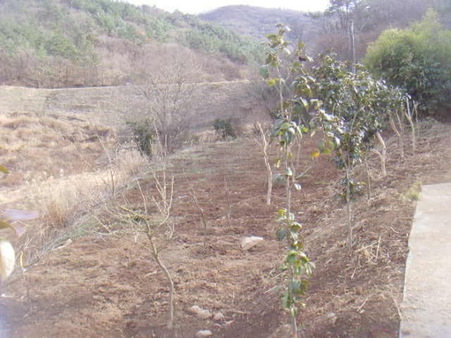 B000514202501300005562.jpg