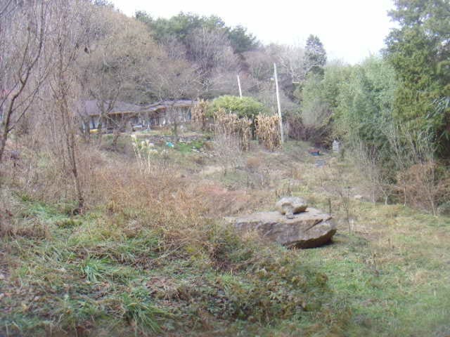 B000514202501300005563.jpg