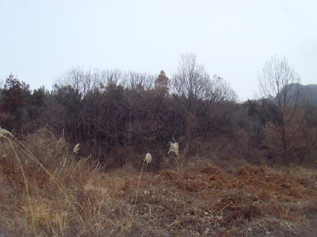 B000514202501300005873.jpg