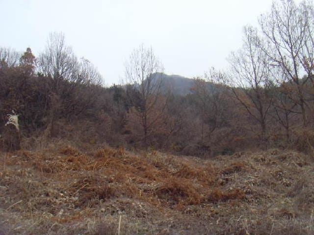 B000514202501300005874.jpg