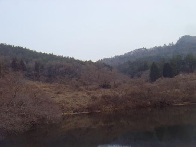 B000514202501300005871.jpg