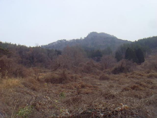 B000514202501300005872.jpg