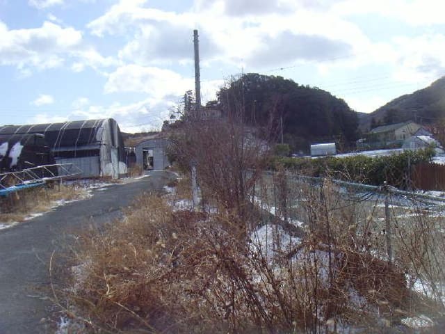 B000514202501300006483.jpg