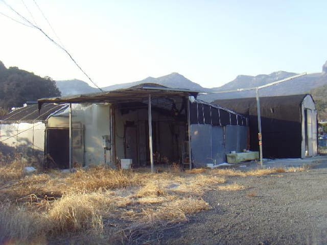 B000514202501300006484.jpg