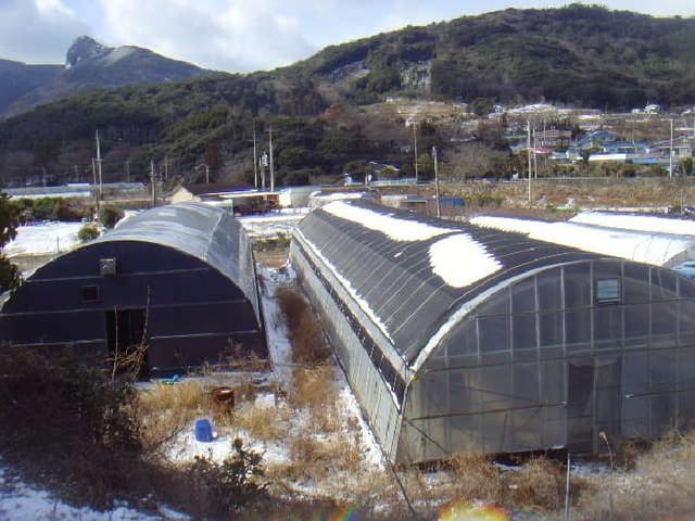 B000514202501300006481.jpg