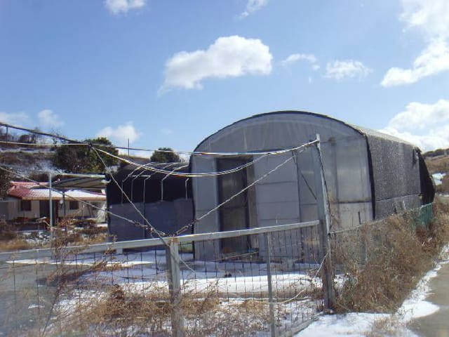 B000514202501300006482.jpg