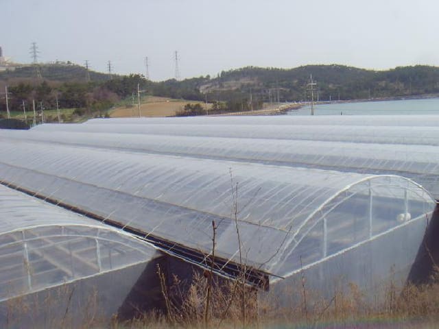 B000514202501300008221.jpg