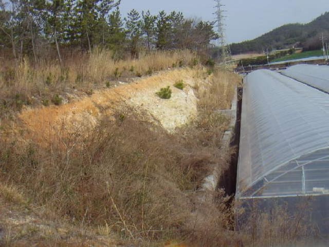 B000514202501300008223.jpg