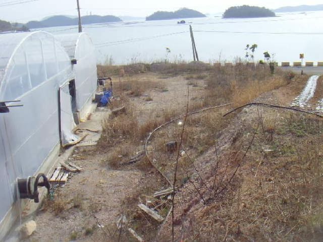 B000514202501300008224.jpg