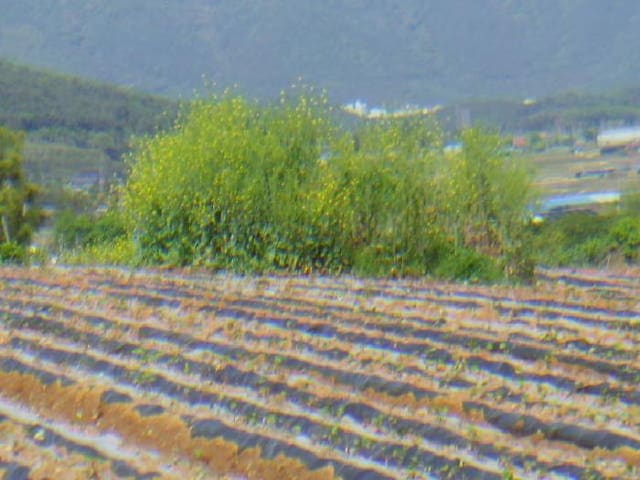 B000514202501300008462.jpg