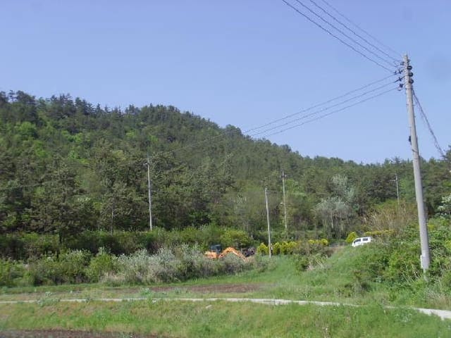 B000514202501300008463.jpg