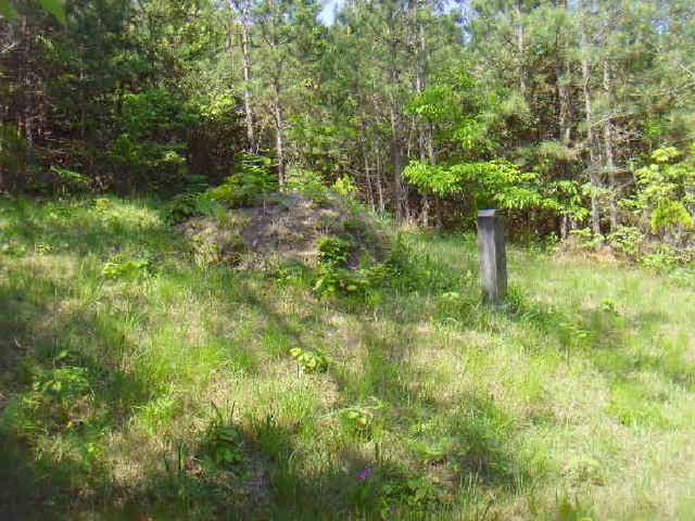 B000514202501300008464.jpg