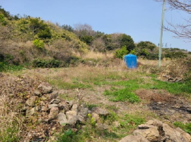 B000514202501300009212.jpg