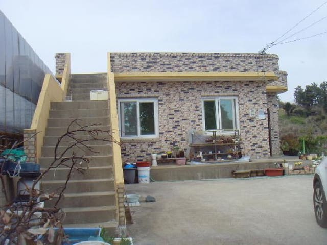 B000514202501300009691.jpg