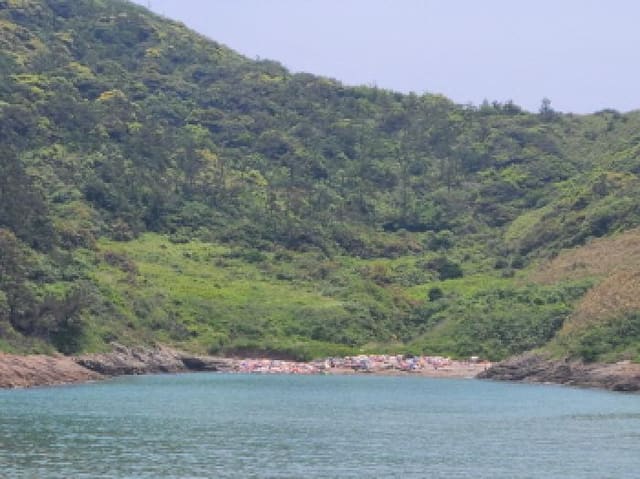 B000514202501300011391.jpg