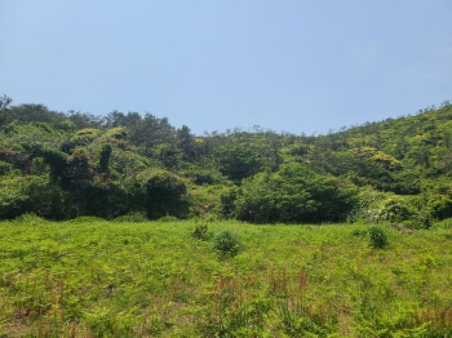 B000514202501300011392.jpg