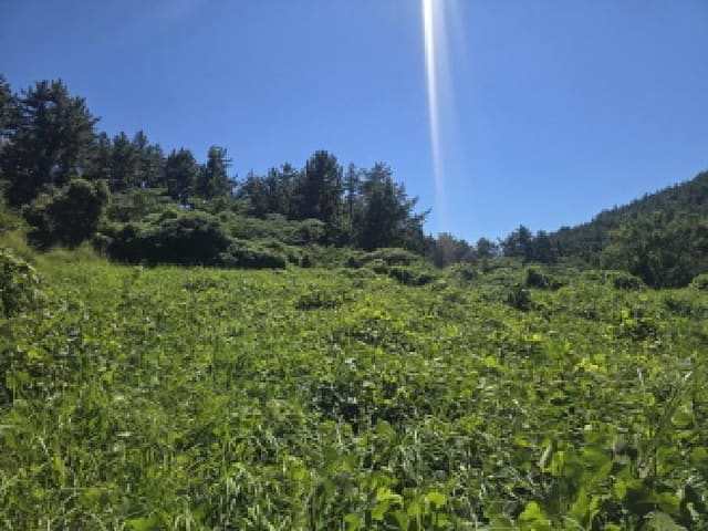 B000514202501300013752.jpg