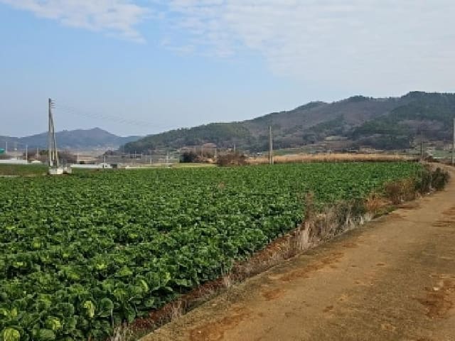 B000514202501300019481.jpg