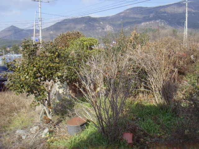 B000514202501300500943.jpg
