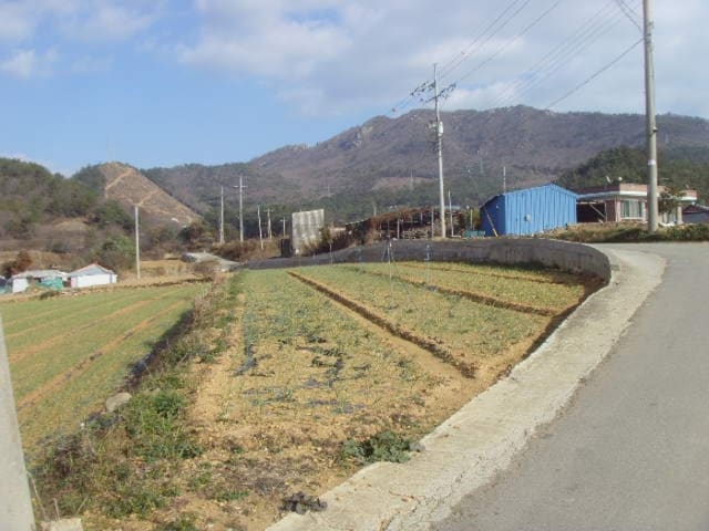 B000514202501300500944.jpg
