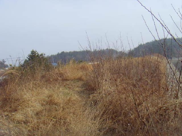 B000514202501300501241.jpg
