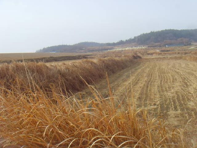 B000514202501300501243.jpg