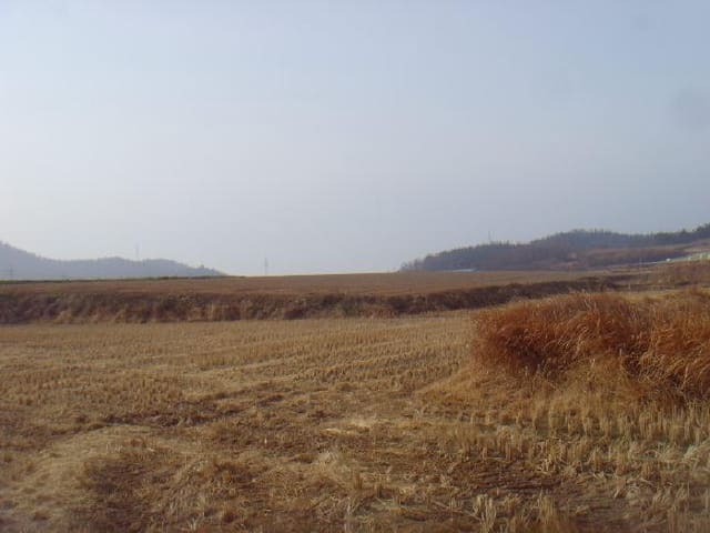 B000514202501300501244.jpg