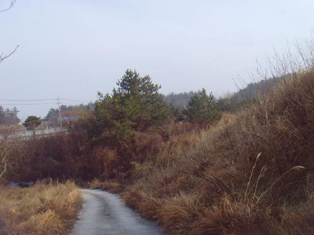 B000514202501300501242.jpg