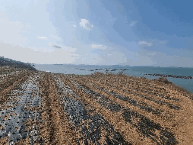 B000514202501300503344.jpg
