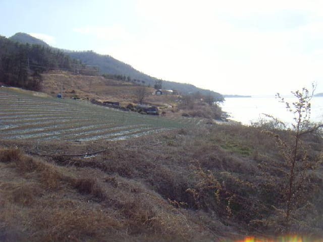 B000514202501300503341.jpg