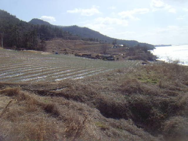 B000514202501300503342.jpg