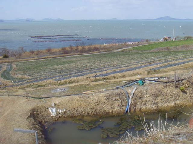 B000514202501300503371.jpg