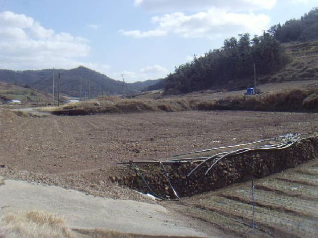 B000514202501300503391.jpg